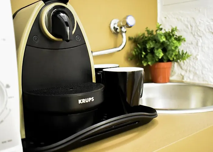 게스트하우스 비비 에 로미오즈 4*